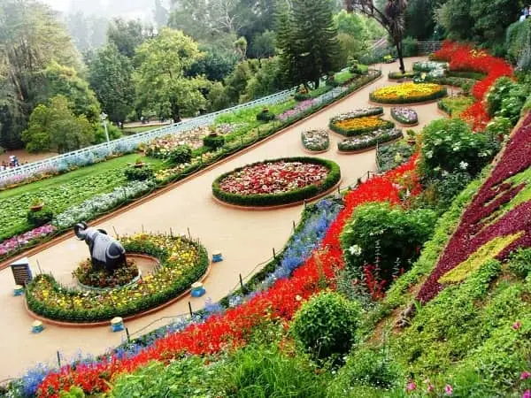 Zakir Hussain rose garden